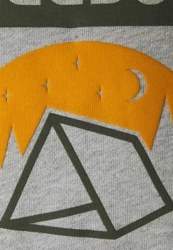 Reebok Classic CAMPING GRAPHIC HOODIE - Sweat à capuche Prix Dégriffé pulls et gilets homme -Reebok Soldes Boutique 948ab9d874064e5196b438fea00c6147