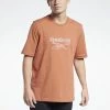 Reebok Classic VECTOR TEE - T-shirt imprimé Qualité Garantie t-shirts col rond homme 1 Reebok Classic VECTOR TEE - T-shirt imprimé Qualité Garantie t-shirts col rond homme -Reebok Soldes Boutique bb9798ed6fc24a34b52f69d10bf262f8